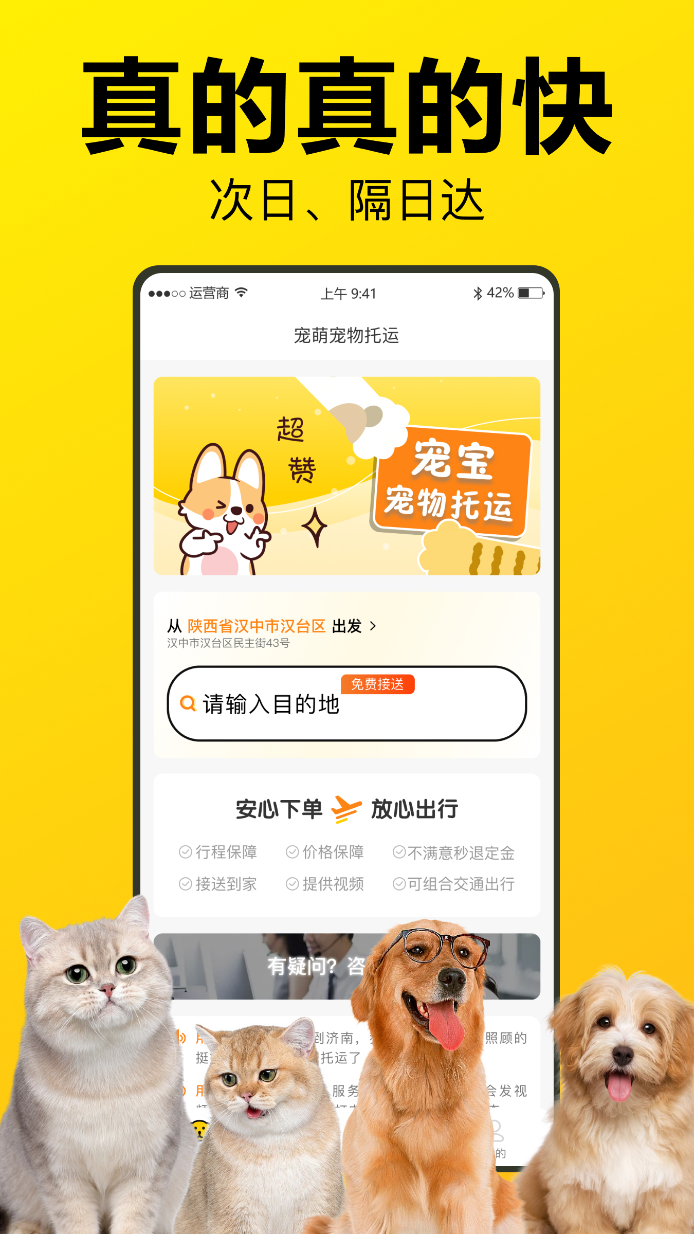 宠宝宠物托运截图3