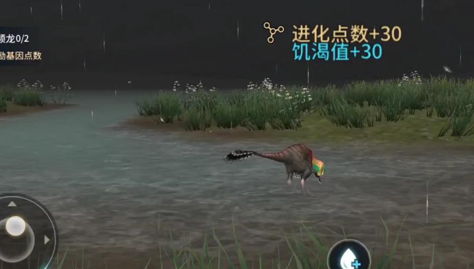 恐龙岛的母龙怎么玩