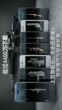爱枪支专业版截图2