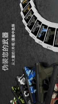 爱枪支专业版截图3