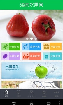 海南特产水果网截图2