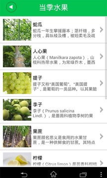 海南特产水果网截图1