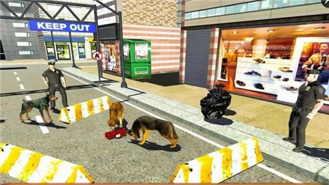 美军间谍犬训练截图3