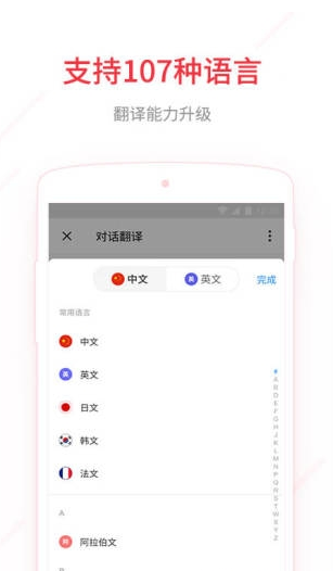 有道词典去广告版截图3