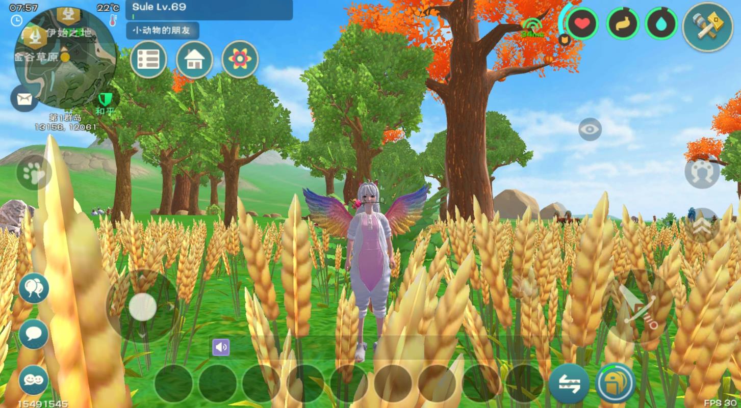 创造与魔法龟饲料怎么制作