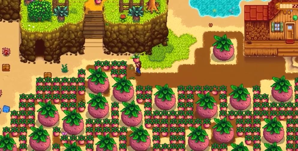 星露谷物语第一年夏天干什么