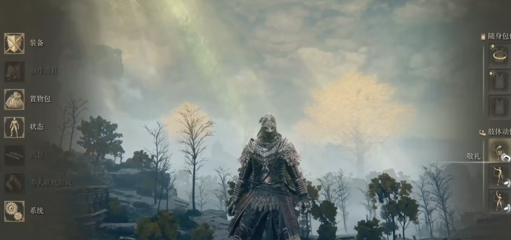 艾尔登法环套装有哪些