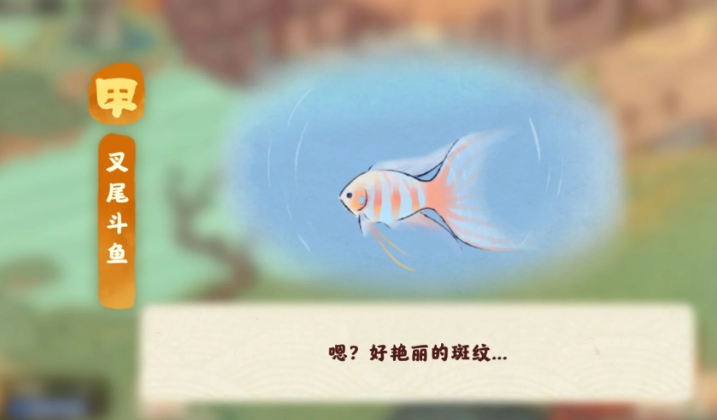 桃源深处有人家叉尾斗鱼怎么钓