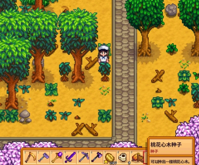 星露谷物语桃花心木长什么样