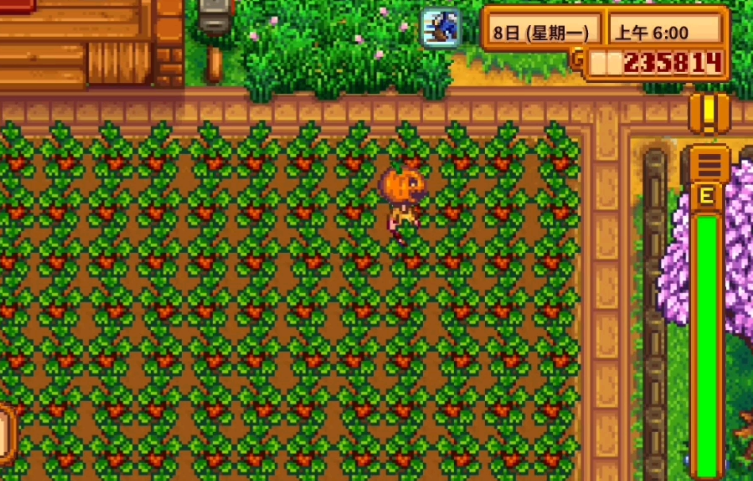 星露谷物语第一年春天种什么