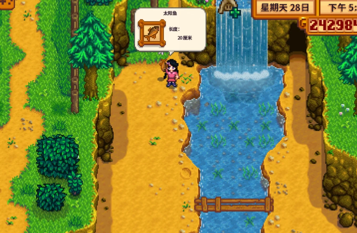 星露谷物语太阳鱼在哪里钓