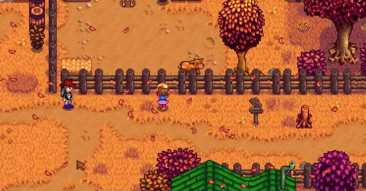 星露谷物语海莉问一天都在干什么