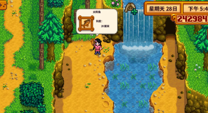 星露谷物语太阳鱼什么时候钓