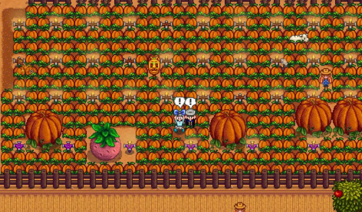 星露谷物语秋天干什么