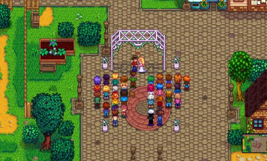 星露谷物语怎么和潘妮生孩子