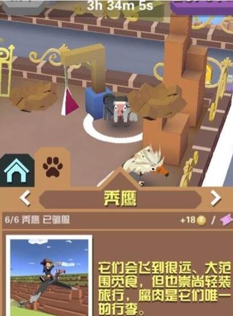 疯狂动物园的秃鹫怎么抓