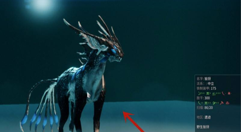 星际战甲好运猫怎么抓