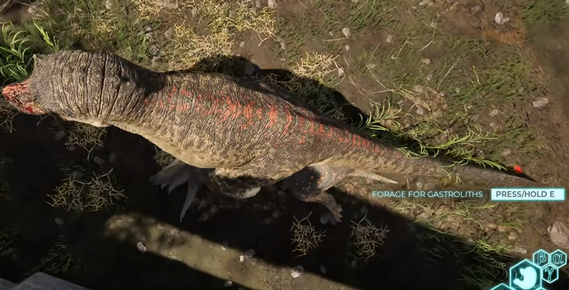 恐龙岛选什么恐龙好玩