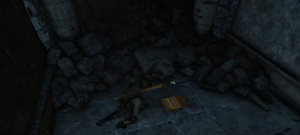 古墓丽影邪恶溪谷文献怎么获得